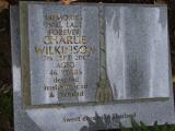image of grave number 342041